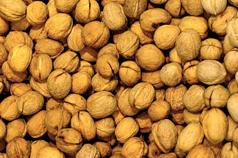walnuts